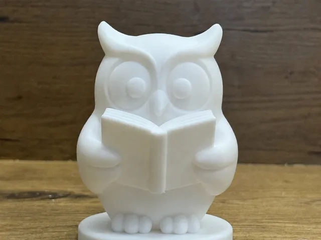 Wise Owl Reading Buddy 1/3