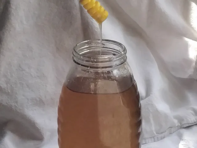 Honey dipper