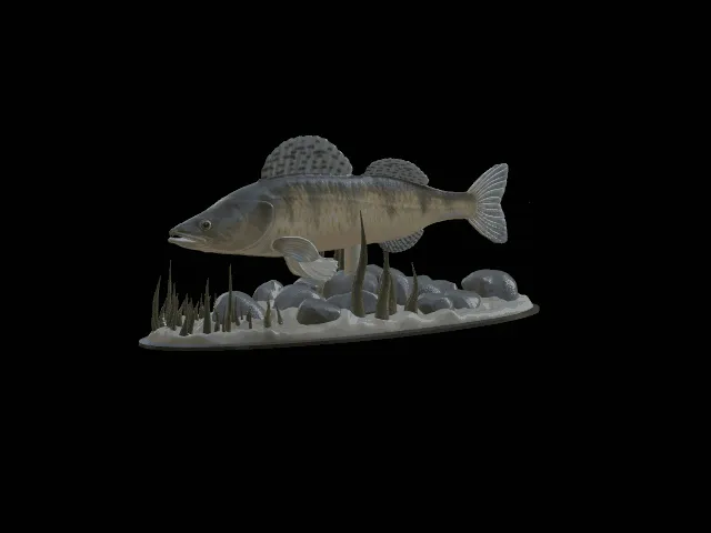 Zander Statue with Base