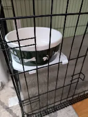 Dog Bowl Kennel Ledge