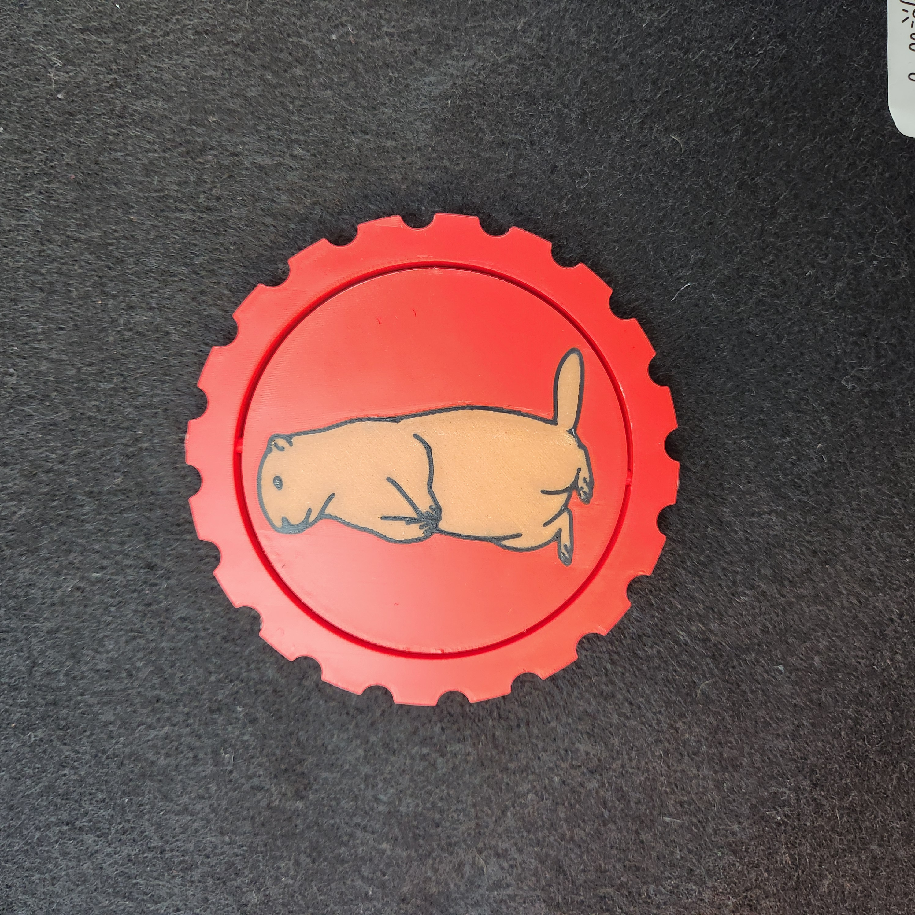 Groundhog Day Shadow Spinner Fidget