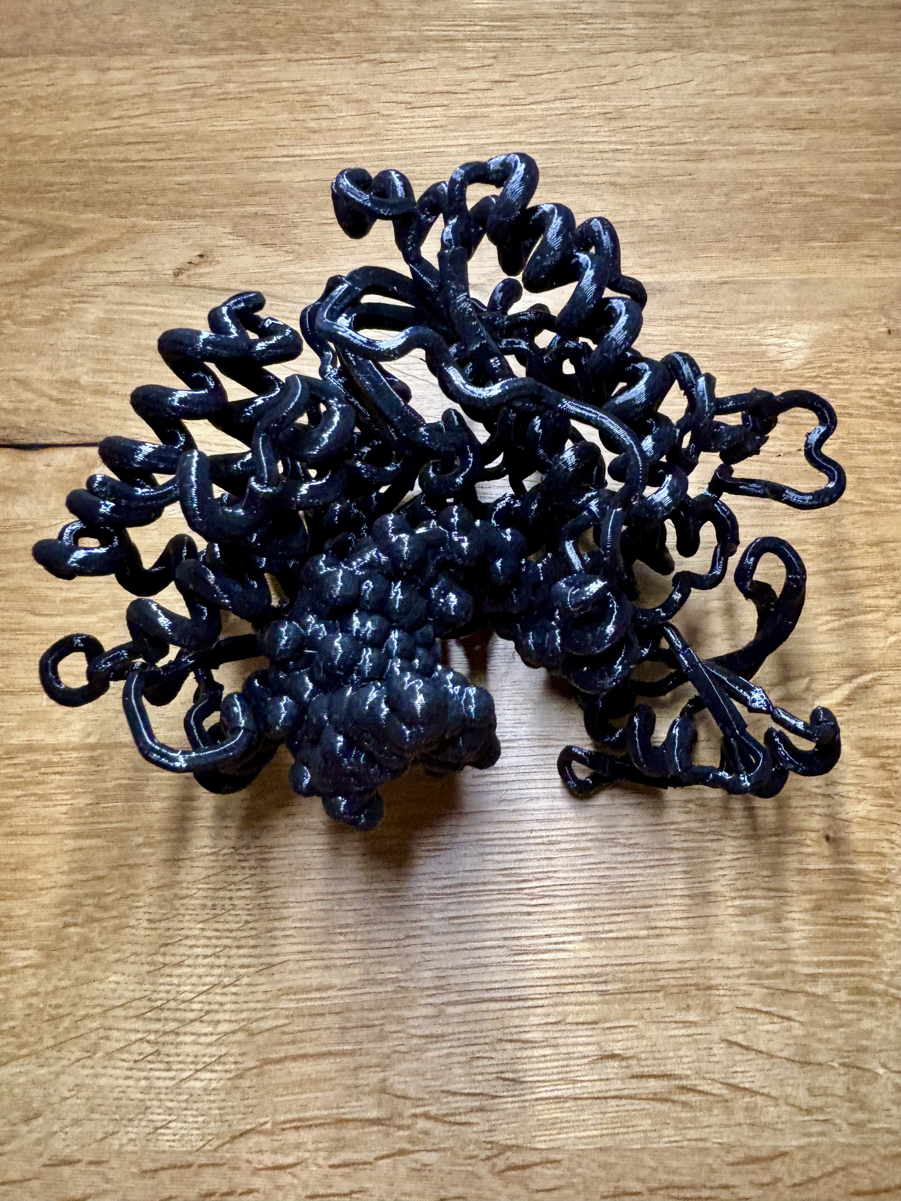 DNA-Polymerase model