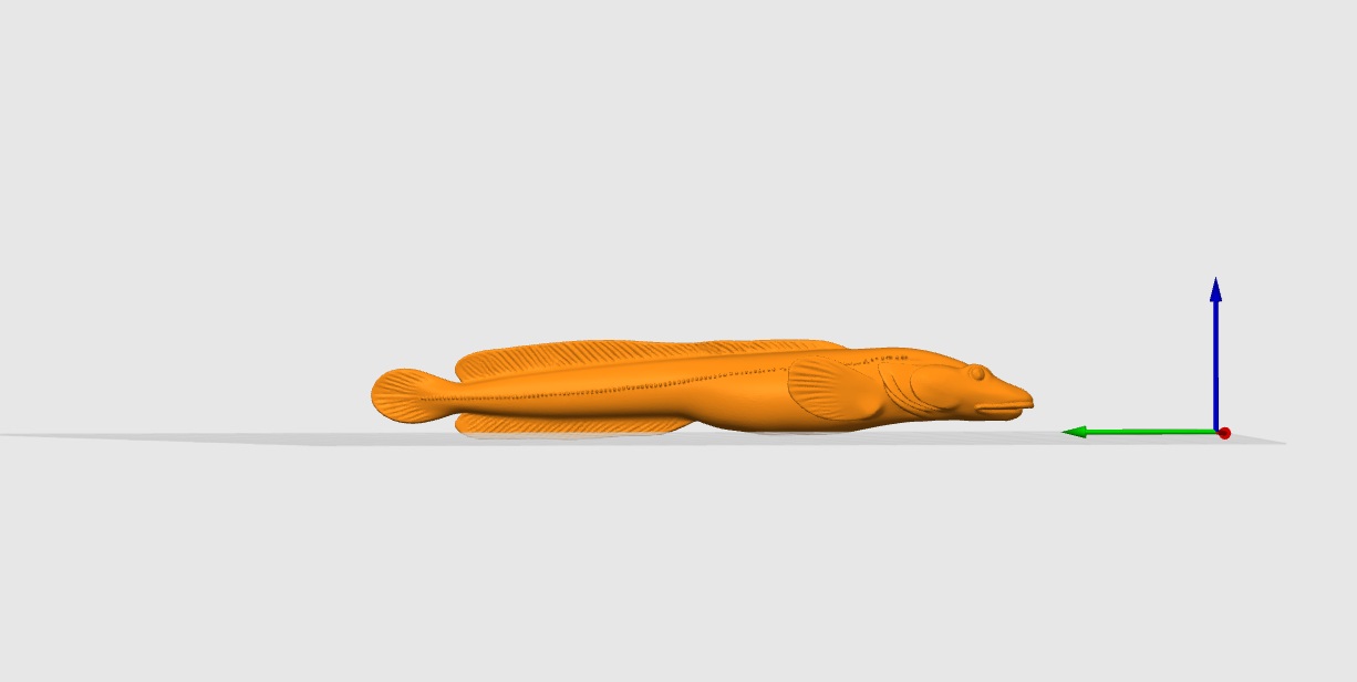 Eelpout 3D model