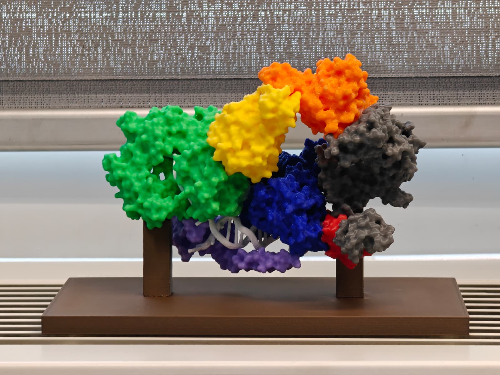 TFIIH Protein Structure with Stand