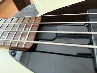 Hills HNB3 truss rod cover