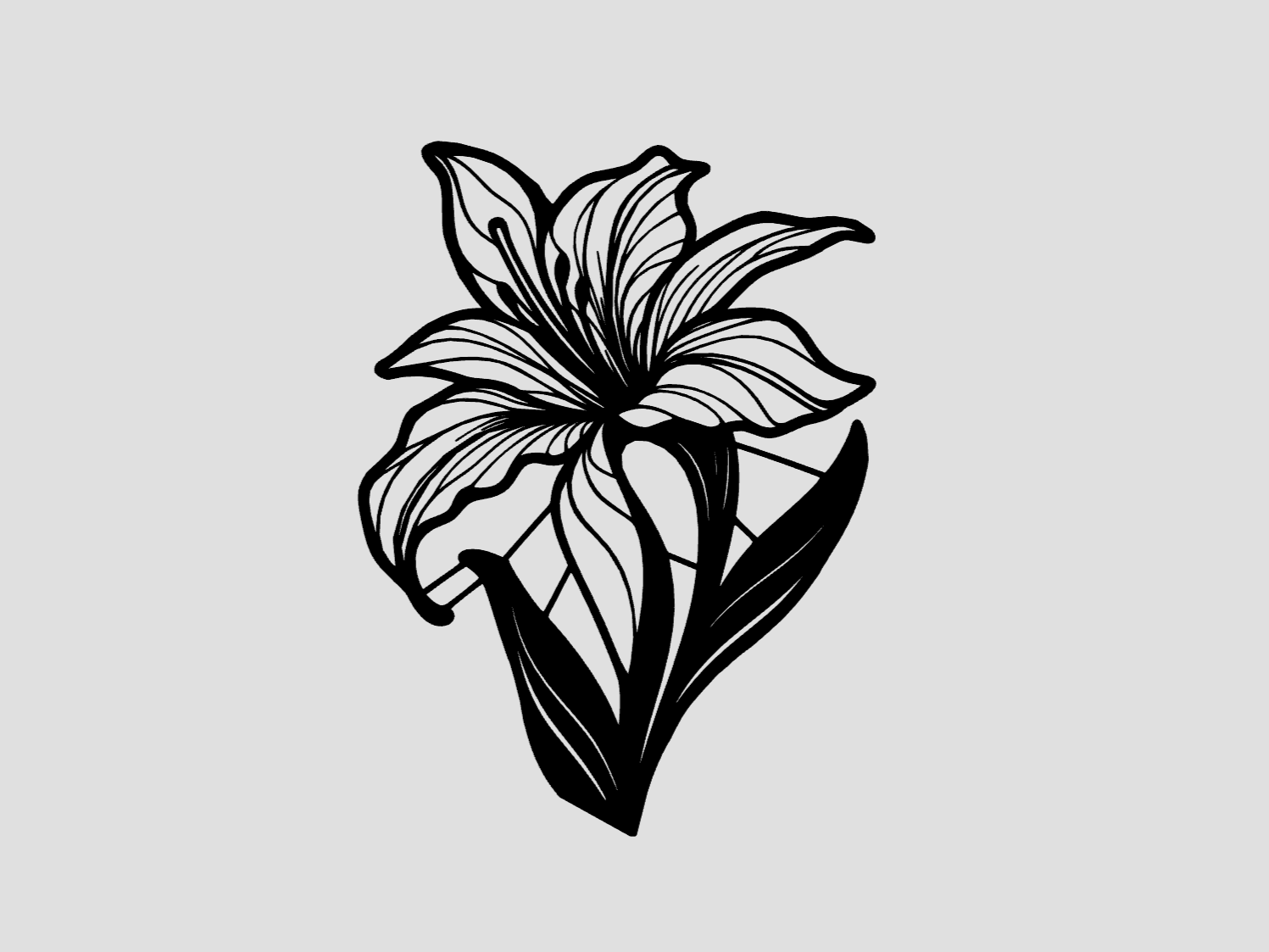 Lily (Lilium) flower wall art