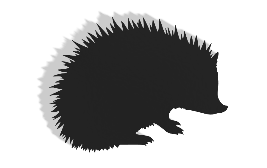 Hedgehog Decor