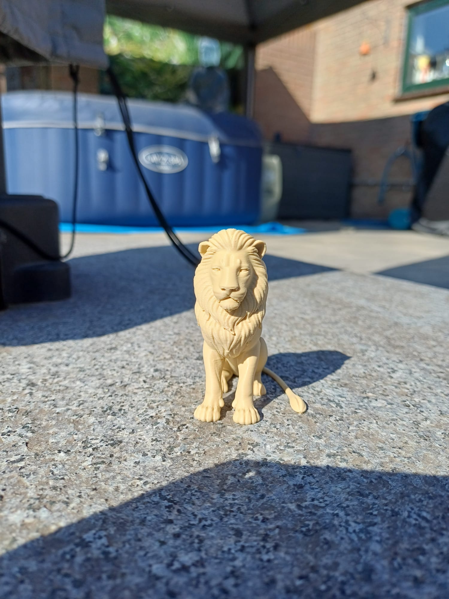 Regal Lion - King of the Jungle