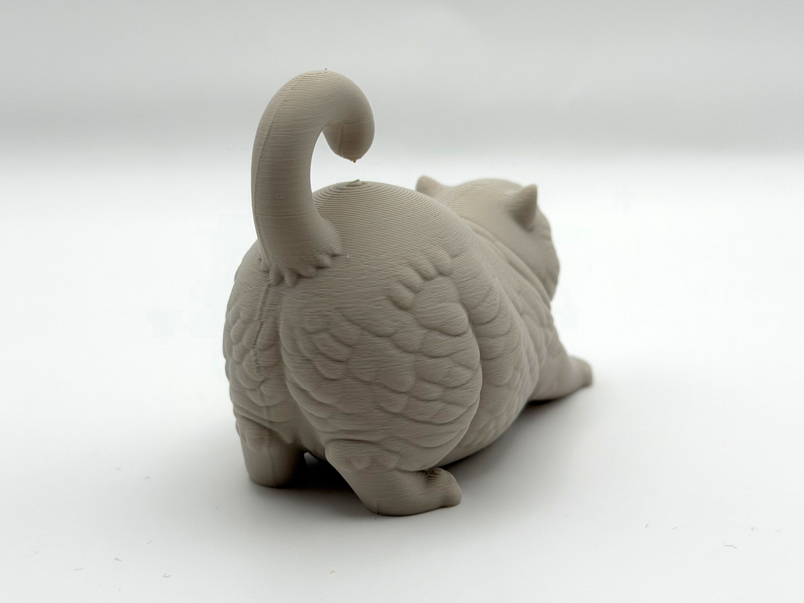 Chonky Kitten — miniatura 5
