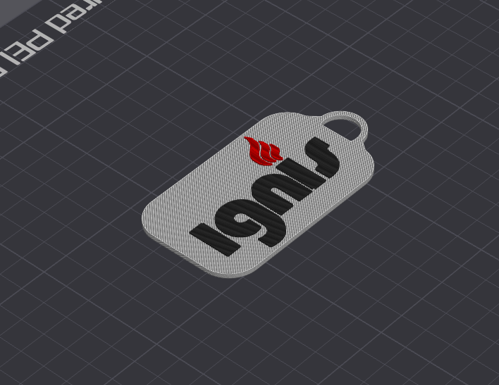 IGNIS keychain