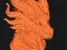 dragon head