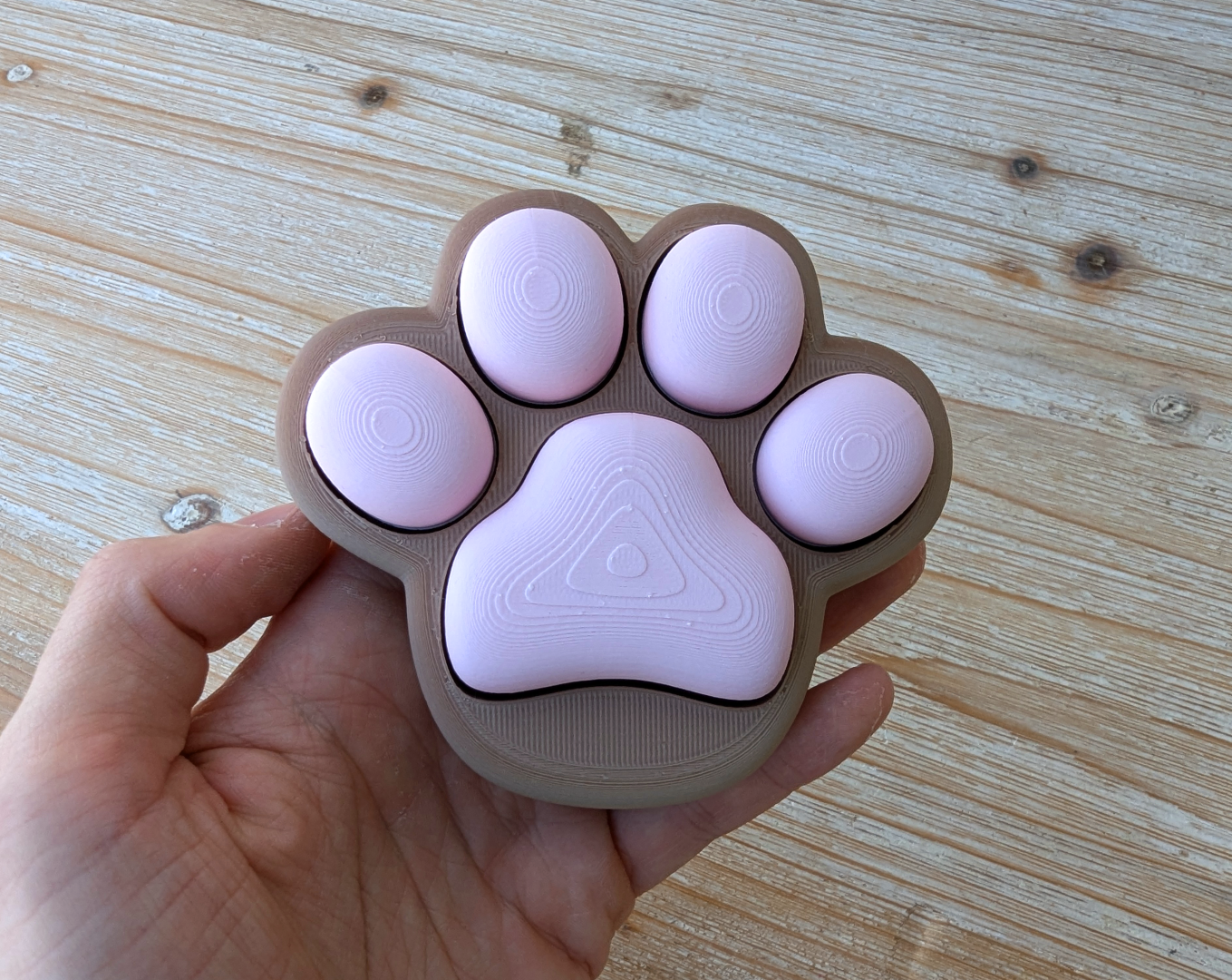 fidget paw