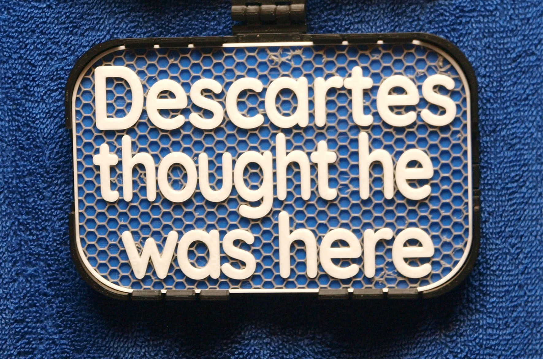 Descartes thought he was here sign