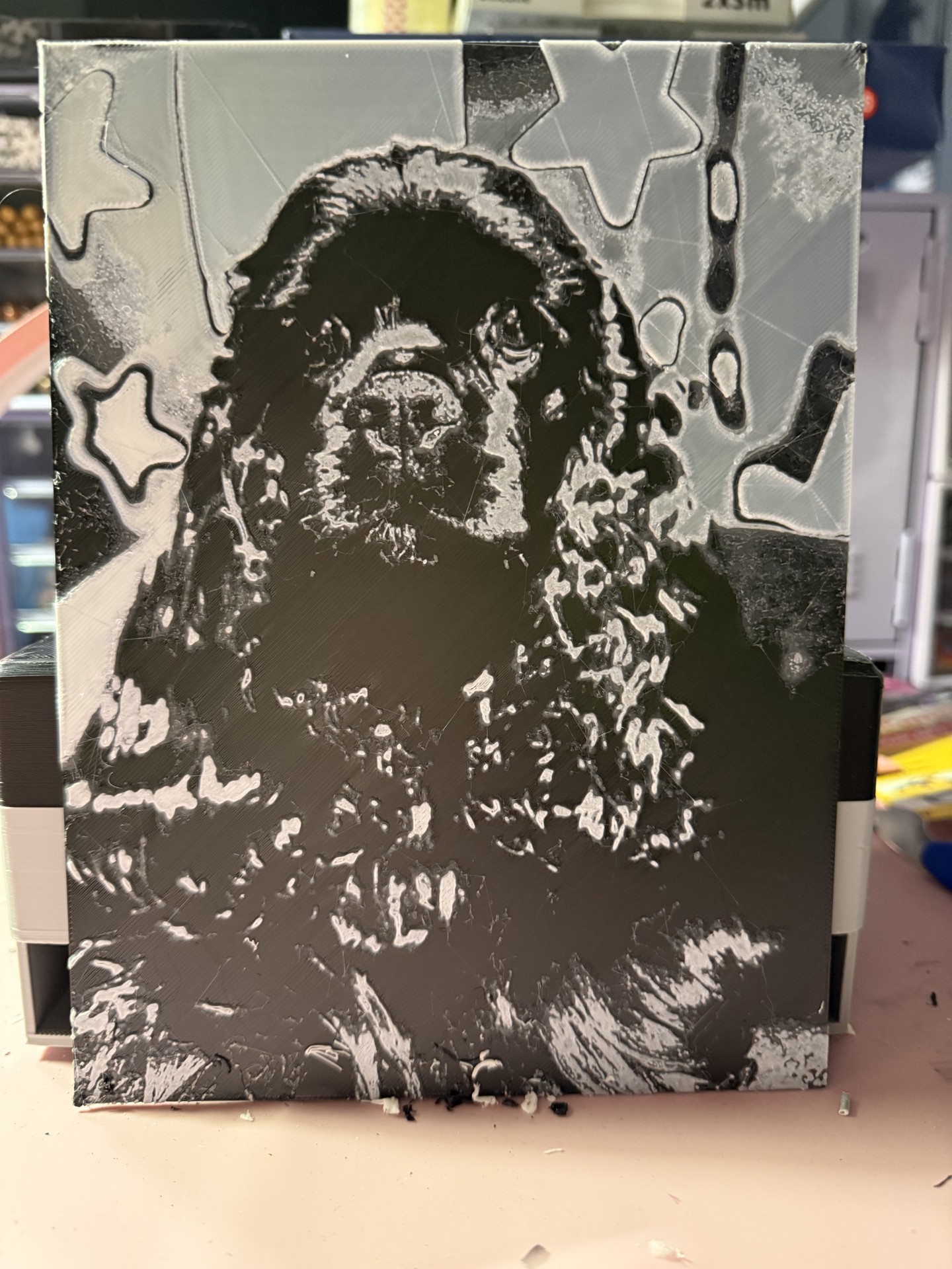 Cocker Américain Noir