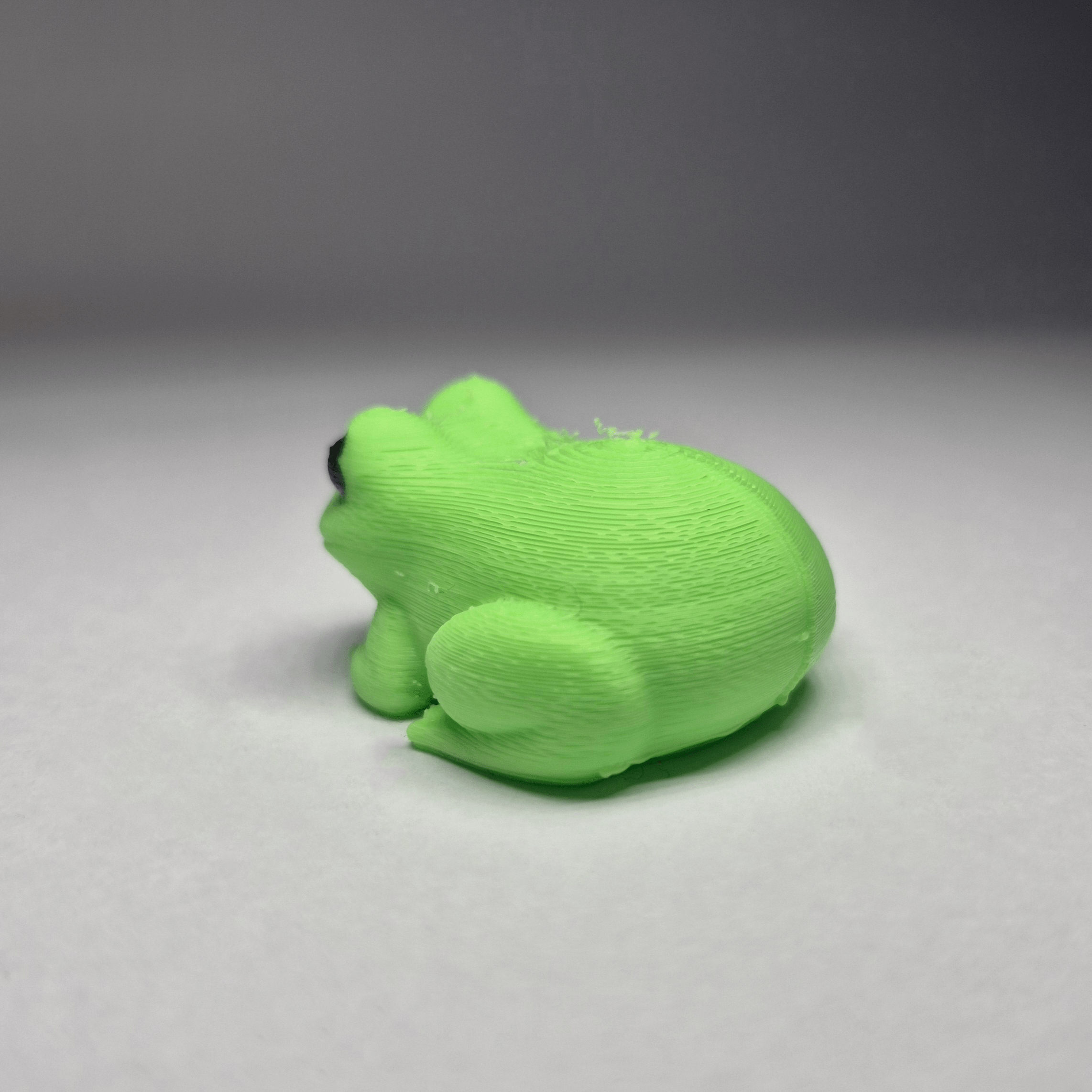Miniatura 2 do modelo 3D Mini Magnet Frogs!