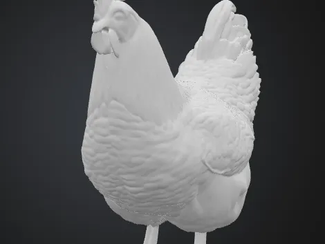 detailed chicken