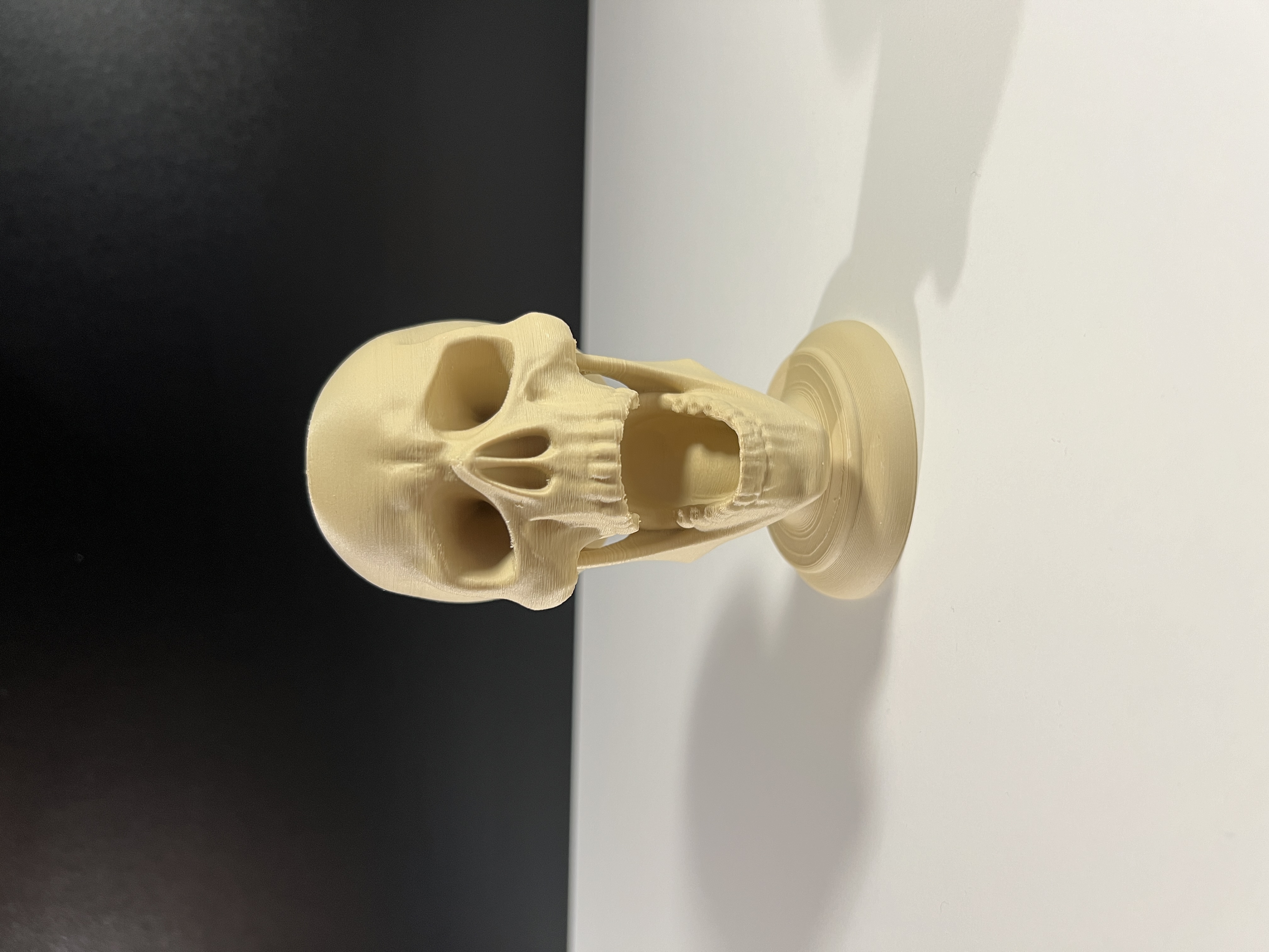 Screaming Skull — miniatura 3