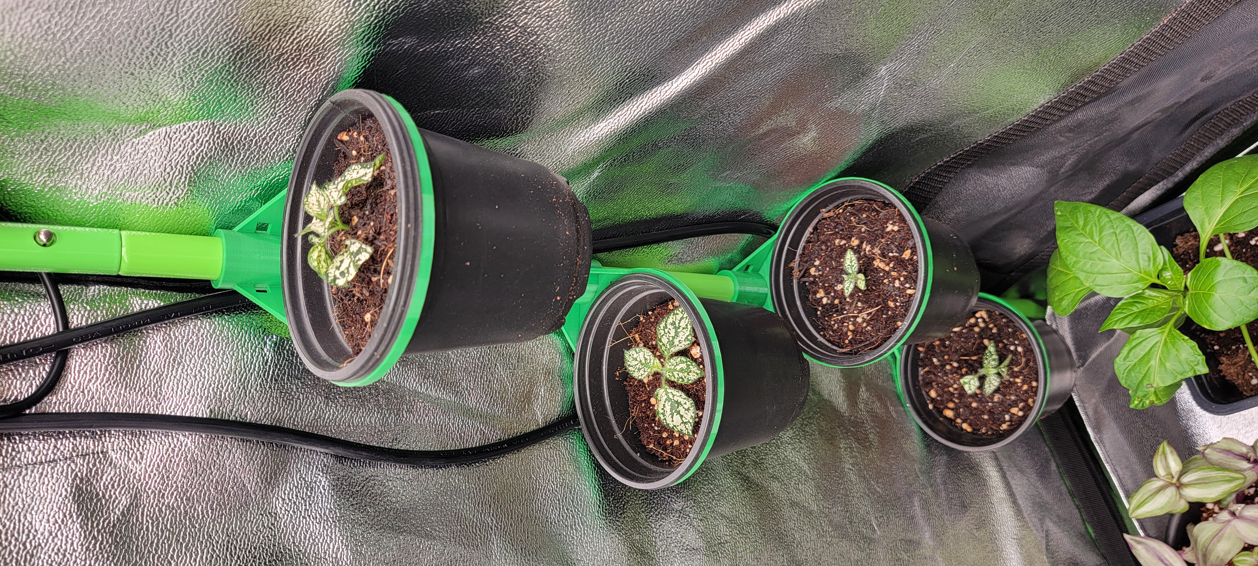 Clip-On Corner Shelf for 4" Pots (16mm Grow Tent Poles)