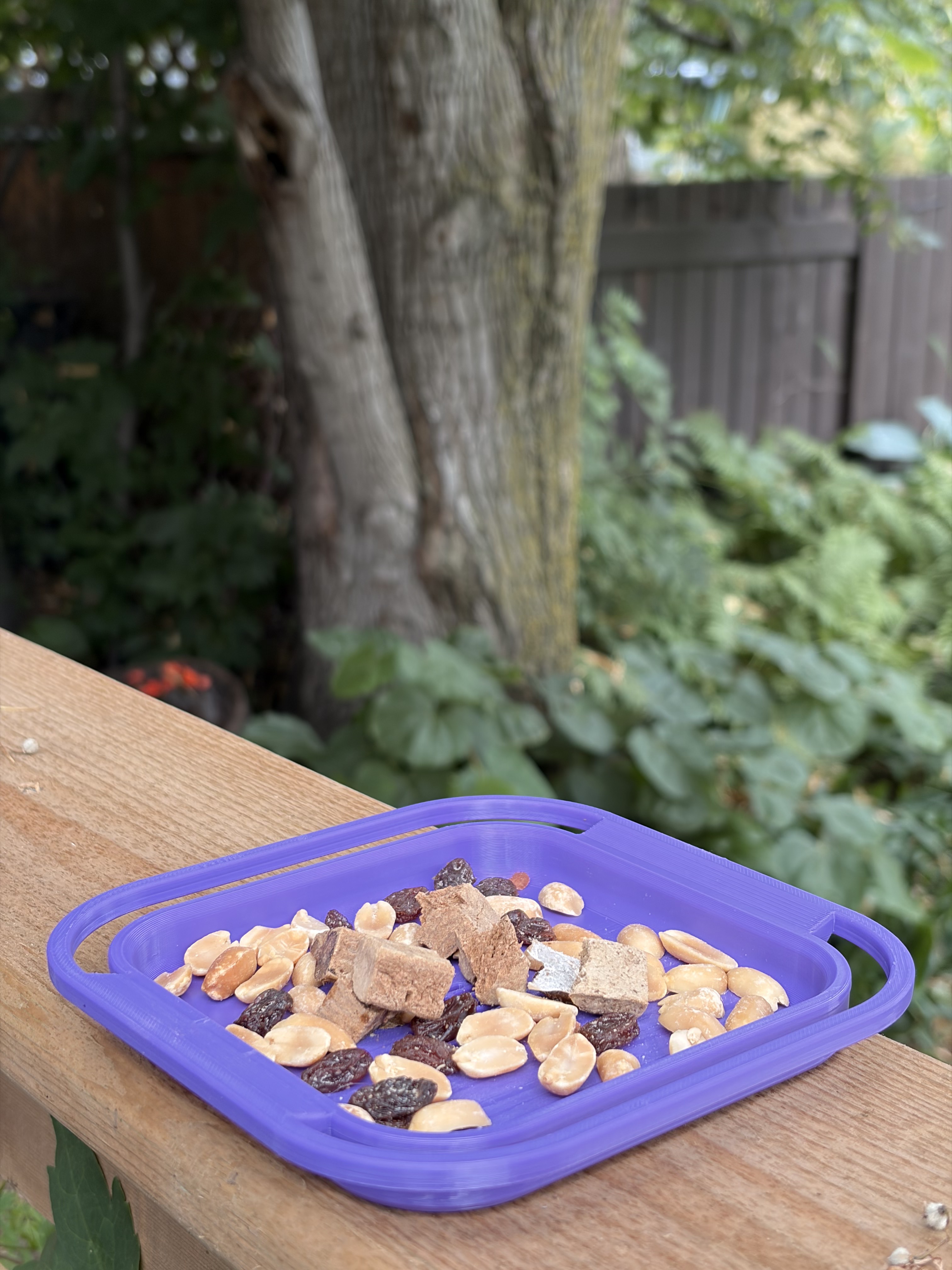 Backyard Tray Style Feeder