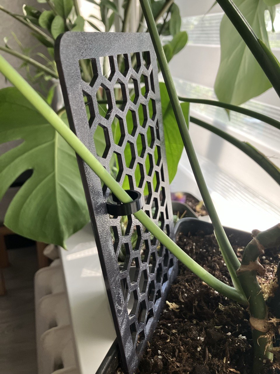 Honeycomb Plant Trellis – Indoor Plant Support Stake