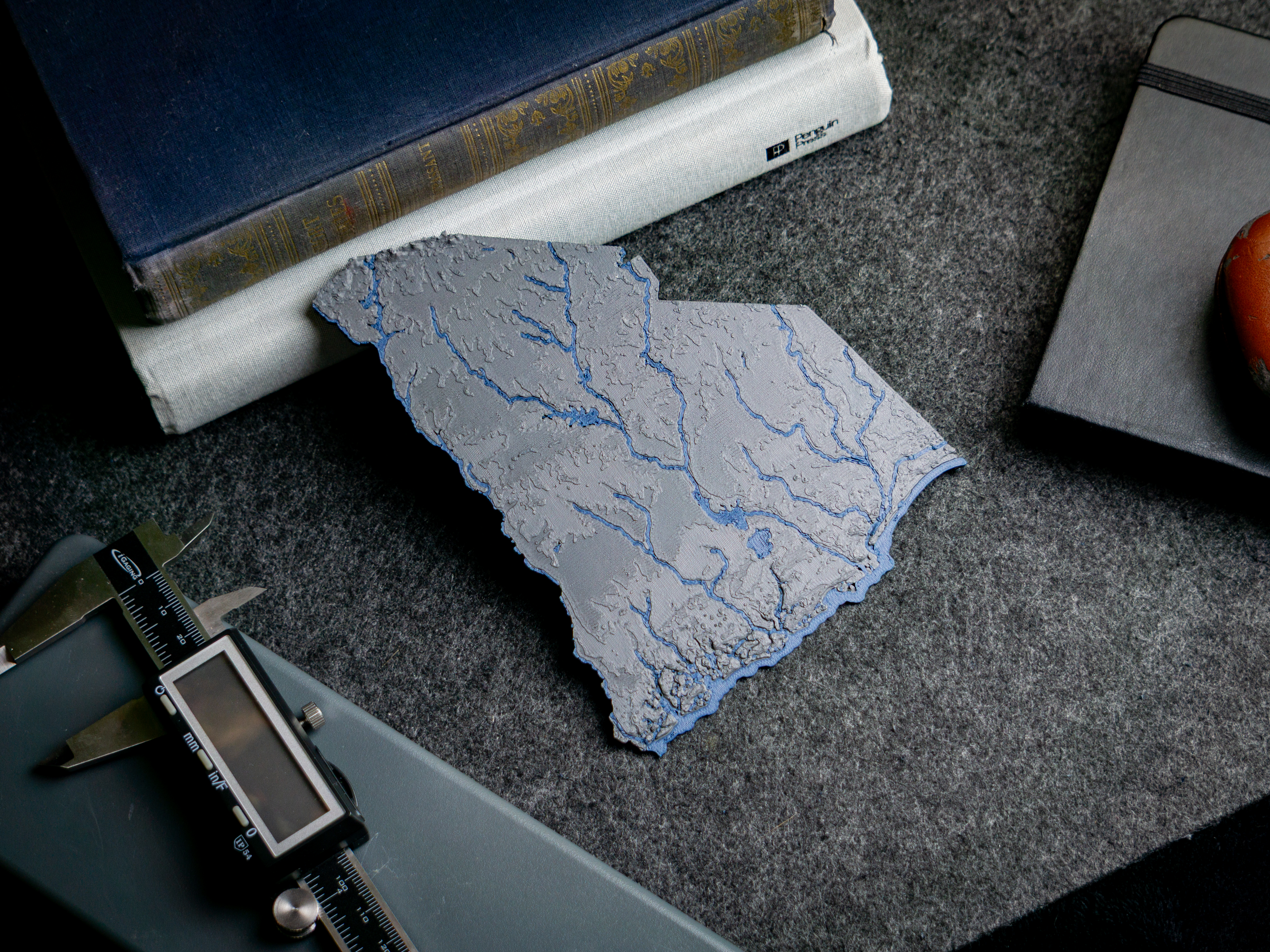 South Carolina, USA (SC) Topographic Map with Rivers