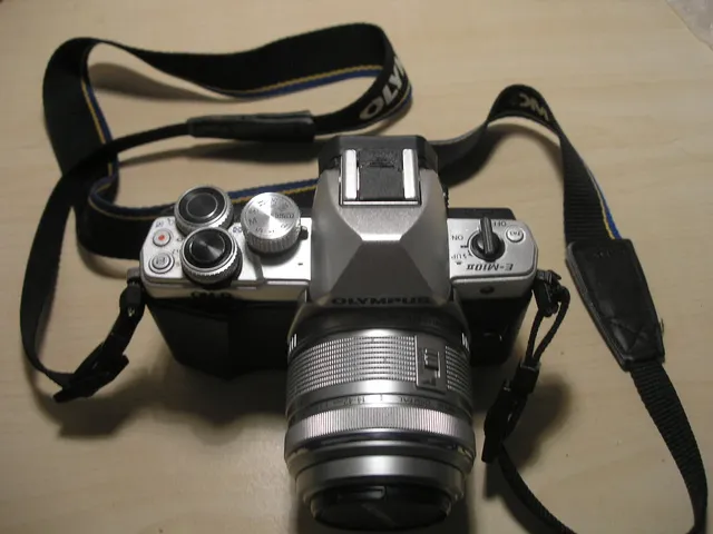 Krytka saněk blesku (Hot shoe cover)