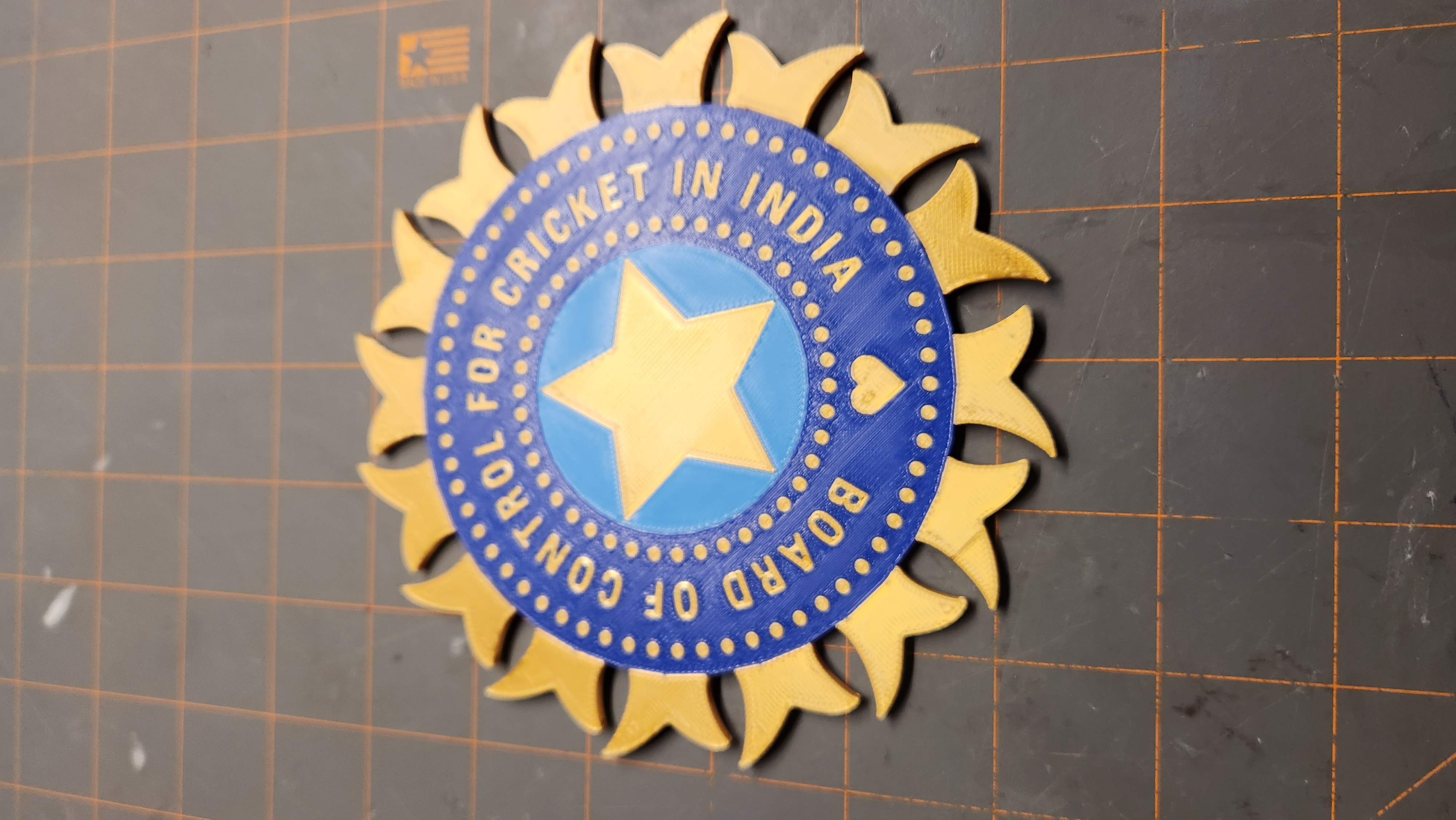 India Cricket Logo