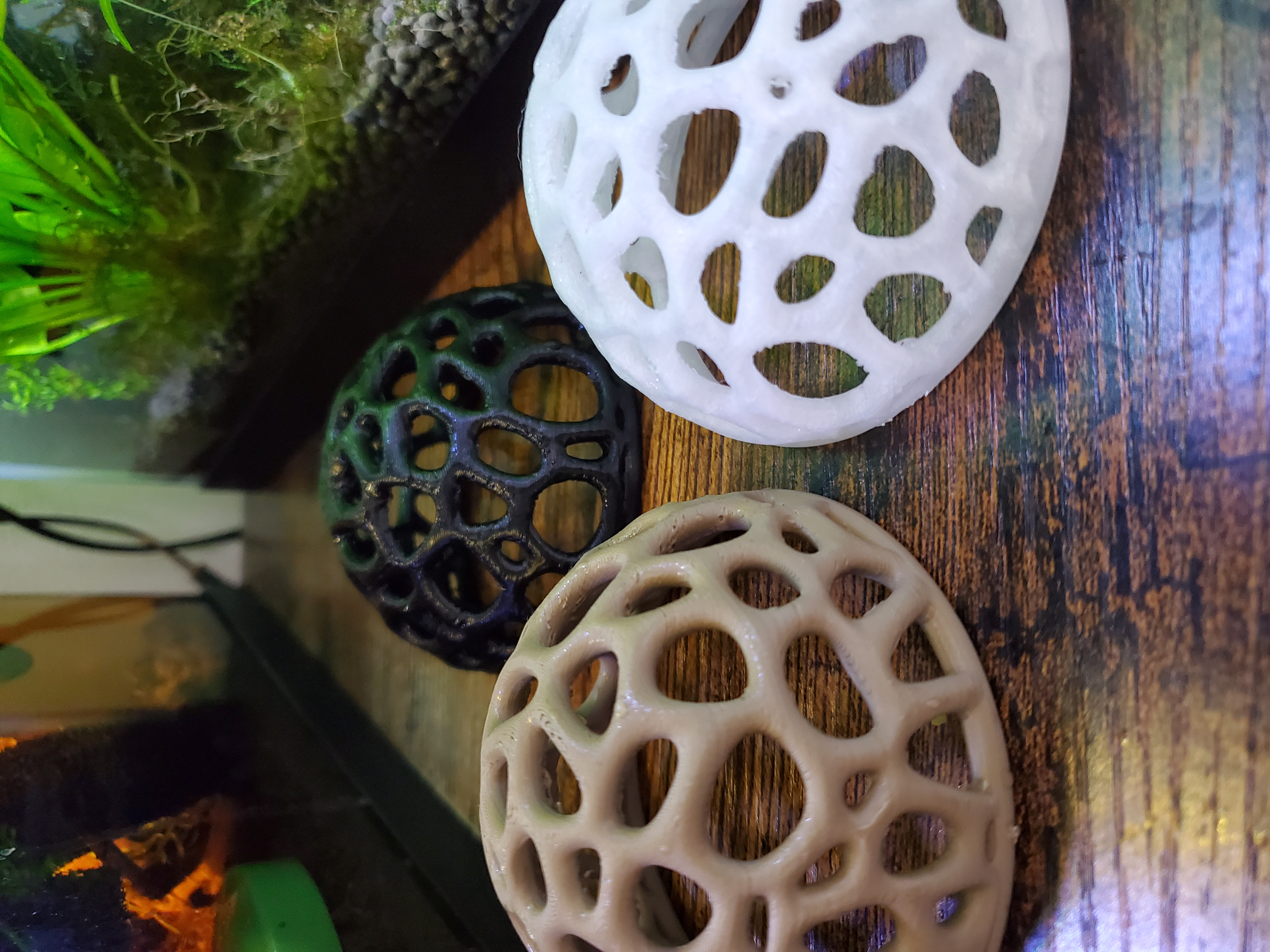 3D Shrimp Aquarium Cholla Hideout – Digital 3D File