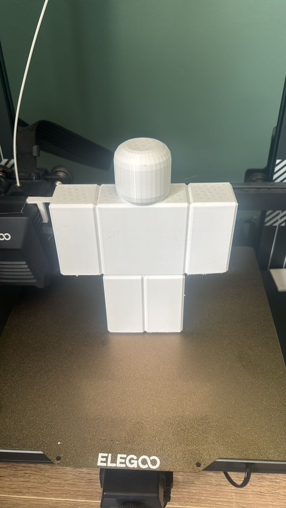 R6 Roblox Character!