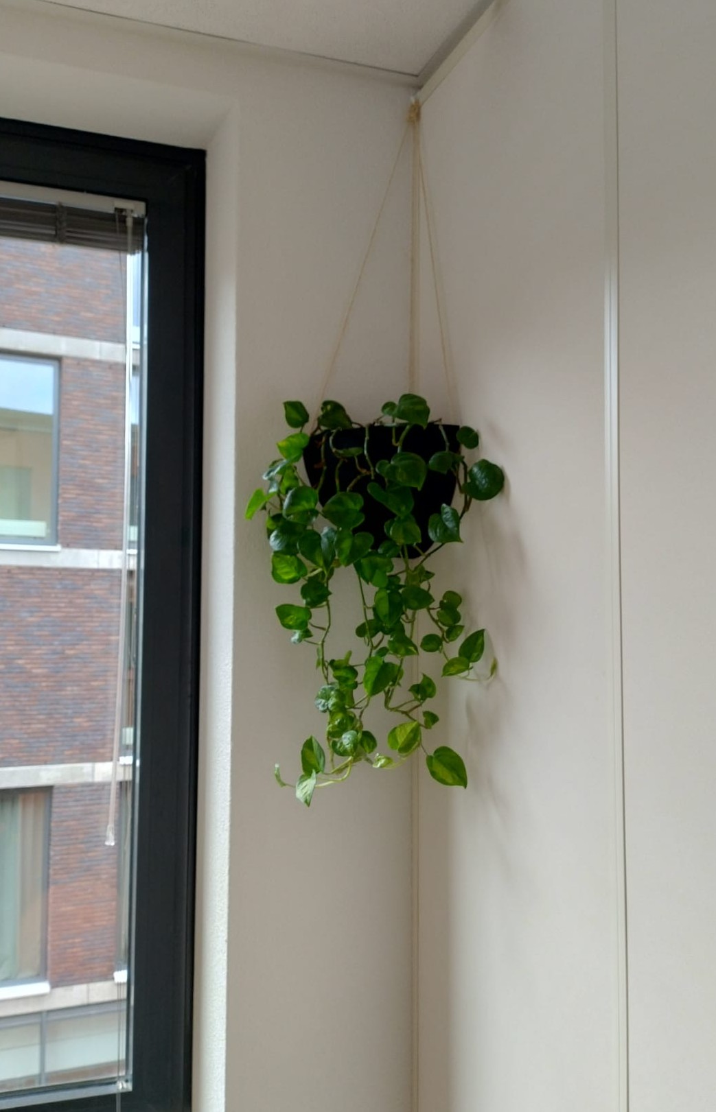 Corner Plant Holder Pot