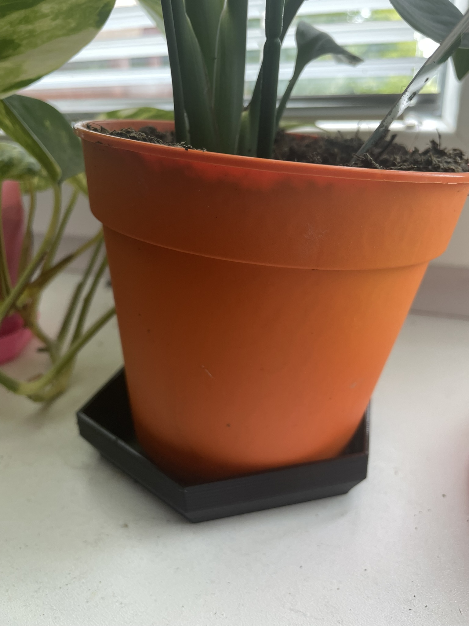 Flower pot saucer