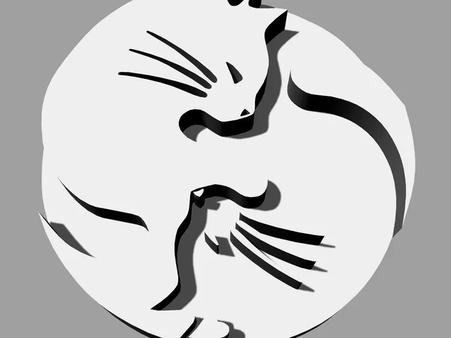 duo cats