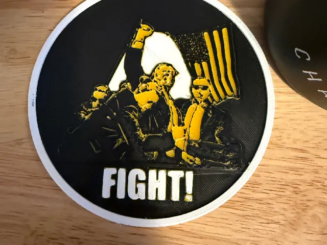 Trump Fight Coaster