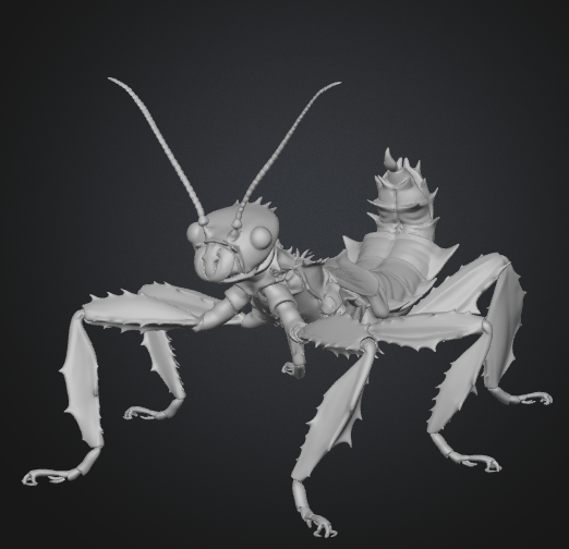 stick insect