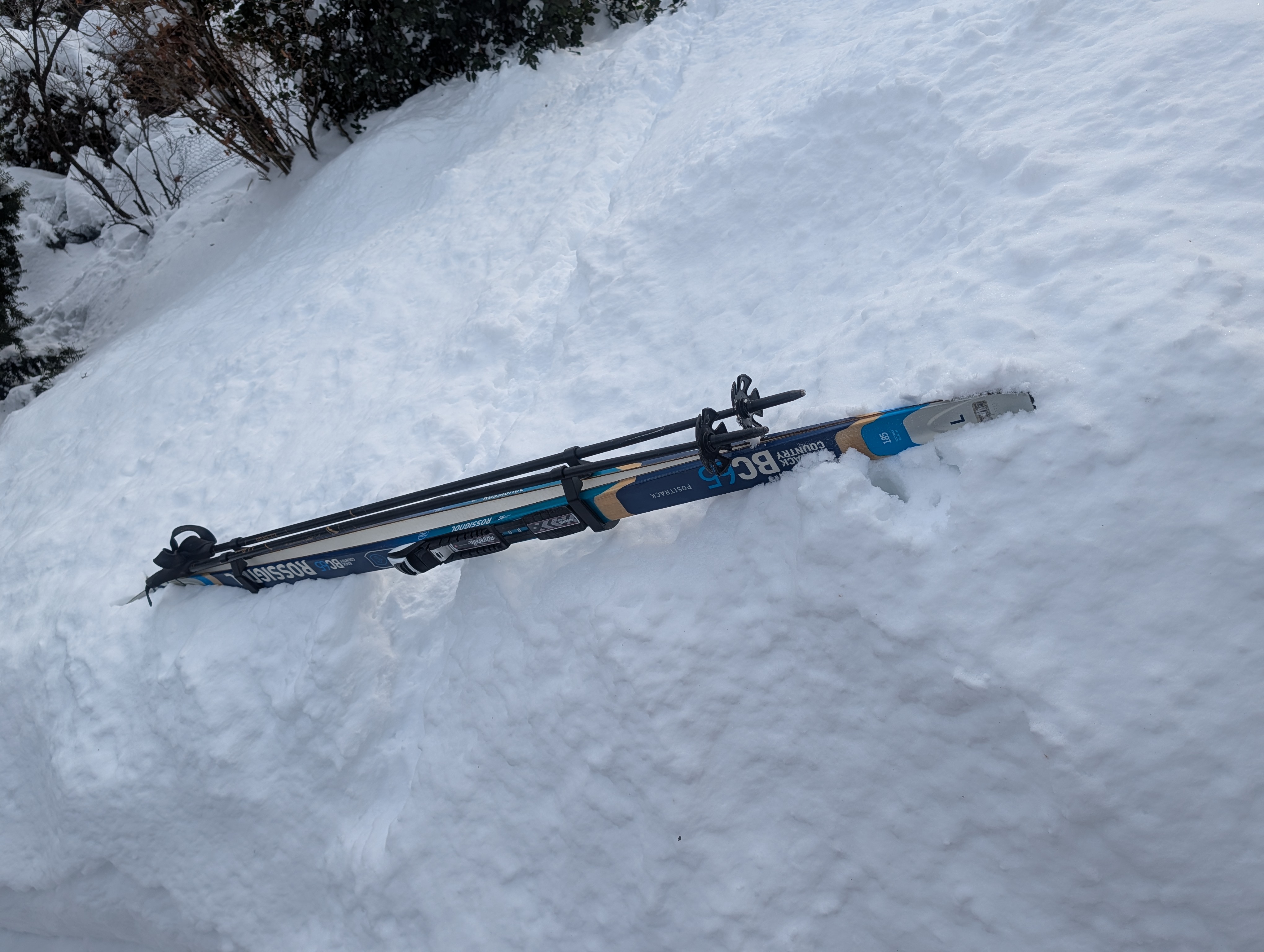 Rossignol BC Ski Clip