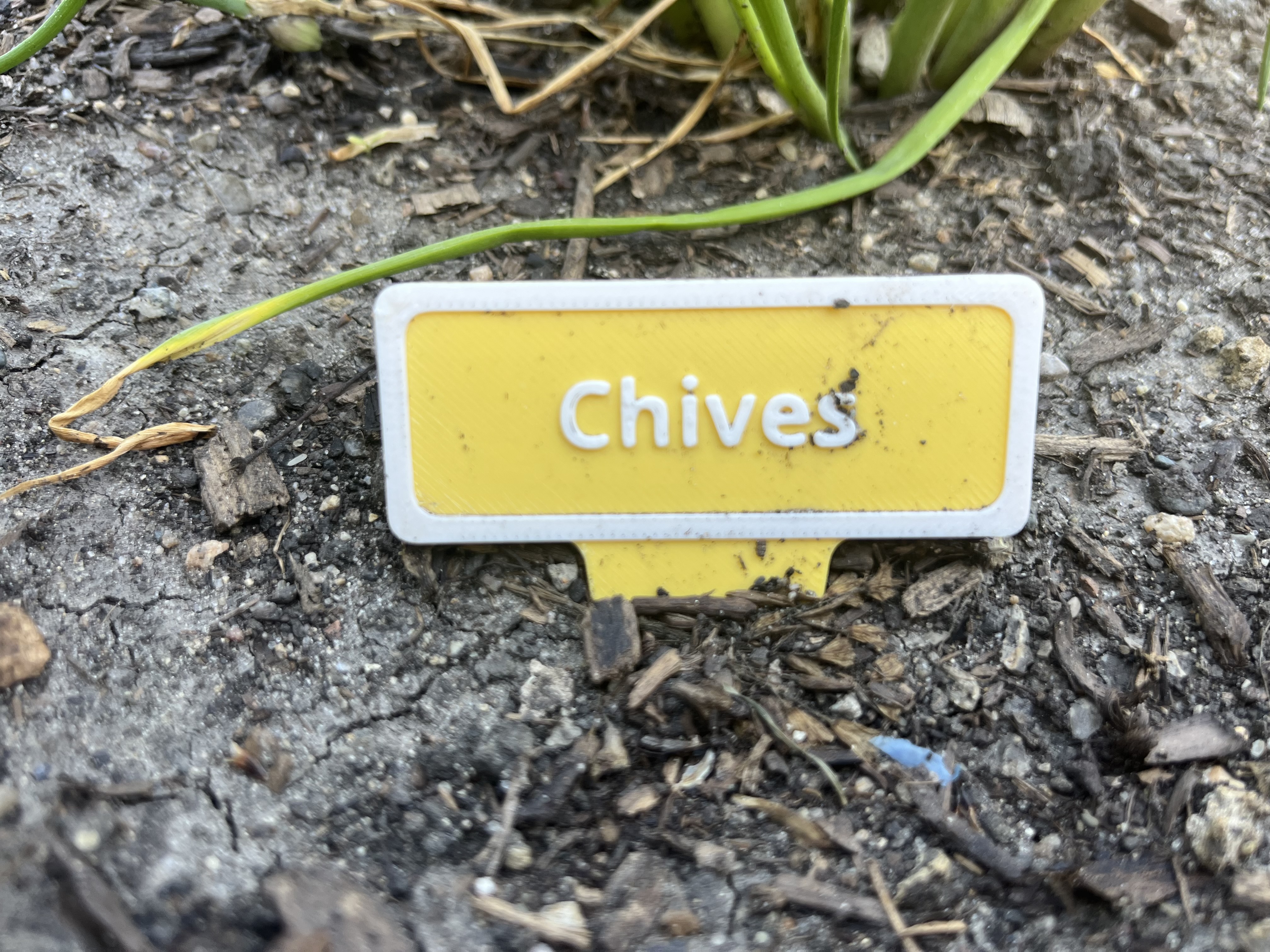 80+ Garden Plant Labels