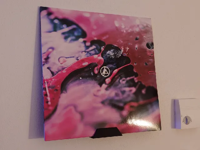 Vinyl record wall holder