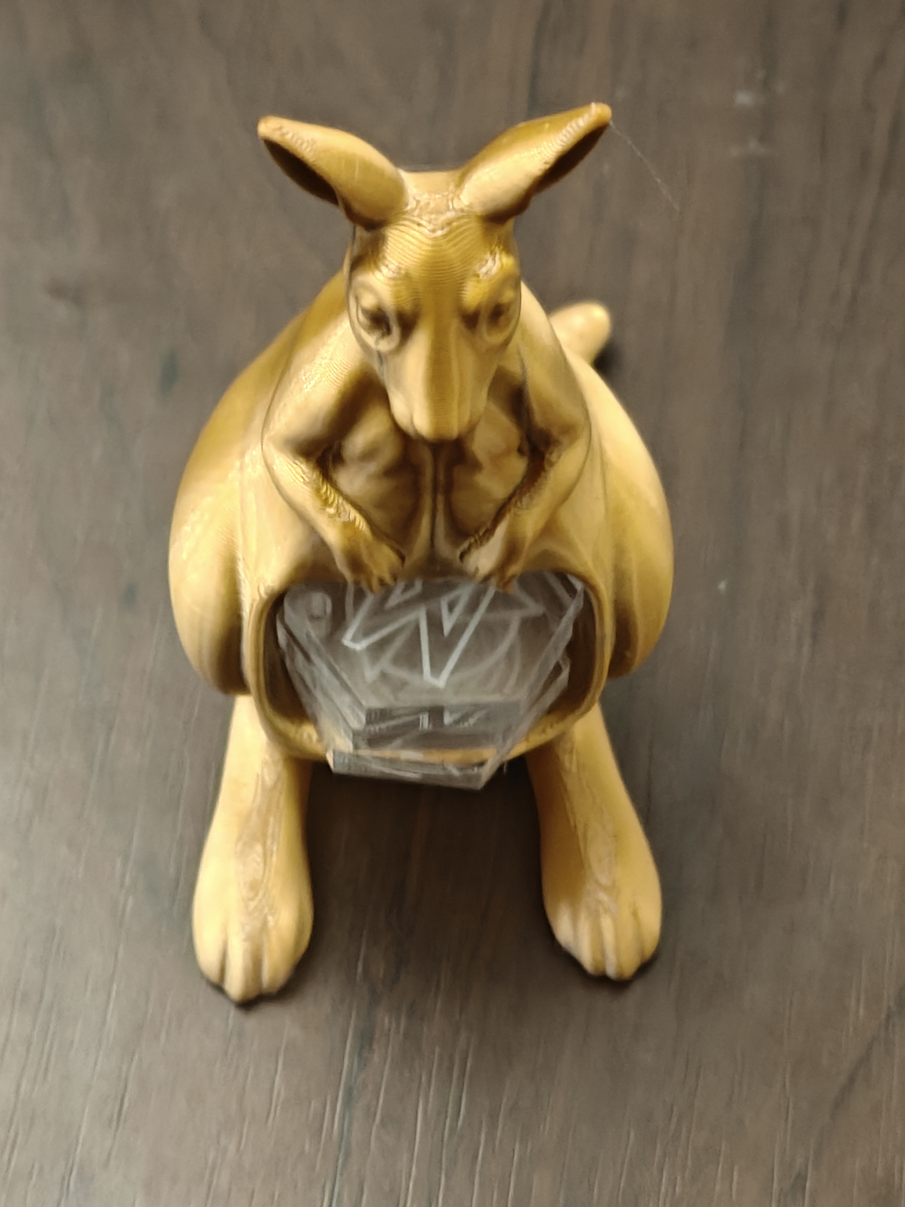 Kangaroo Desk Organizer