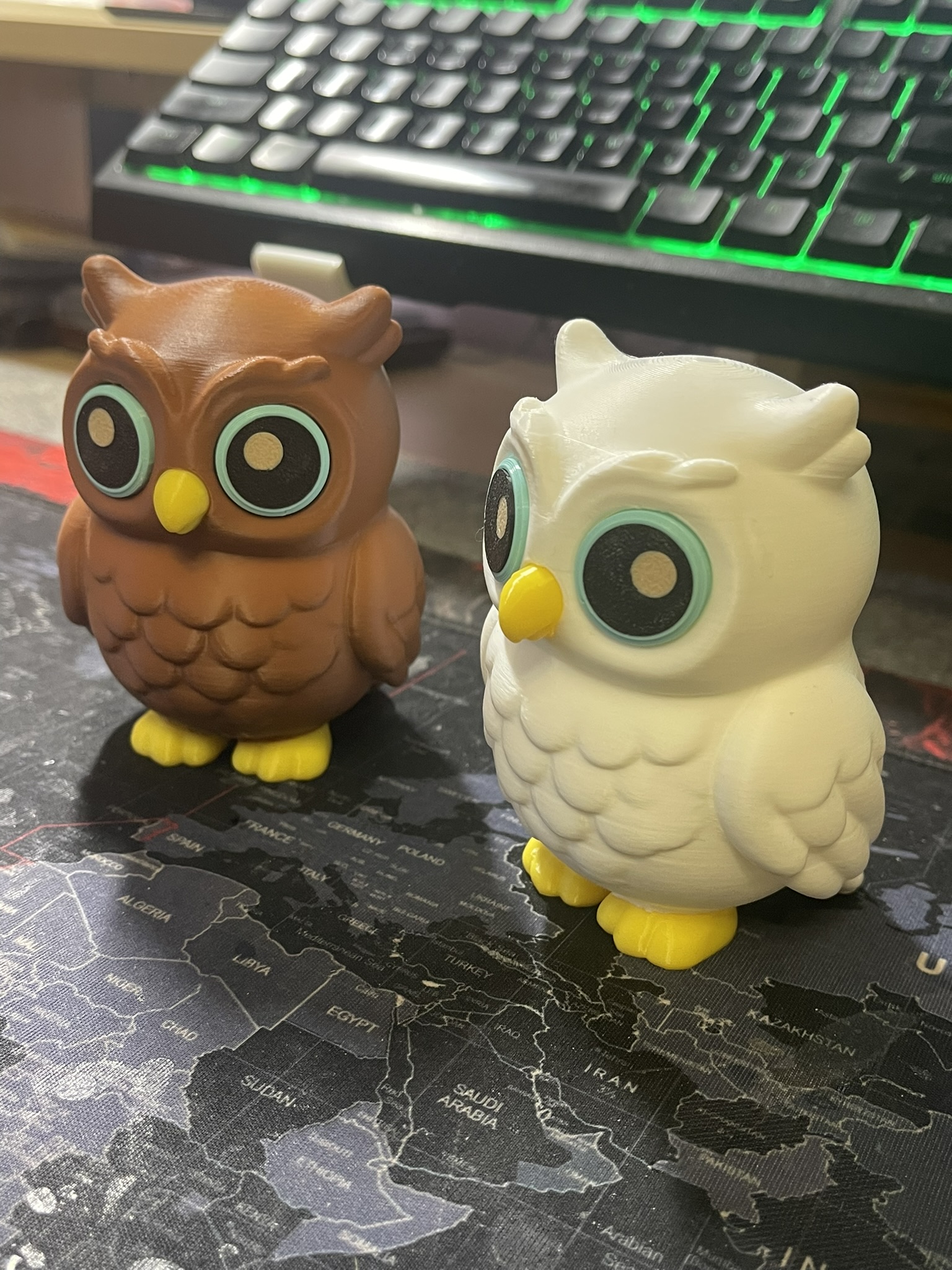 Cute Little Owl – HEDWIG (cartoon, noAMS)