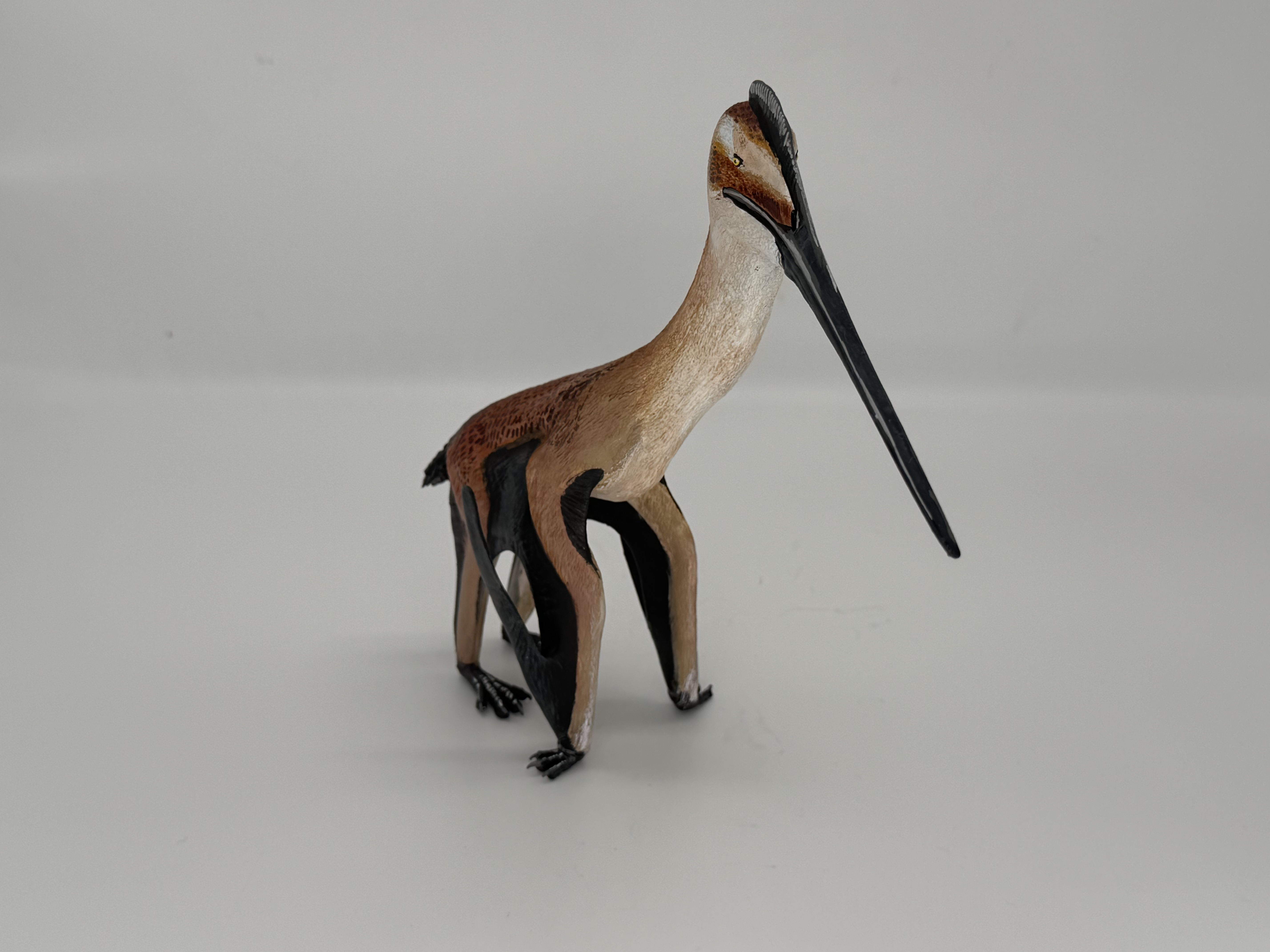 Leptostomia Sculpture 3D model