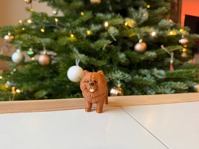 Chow Chow