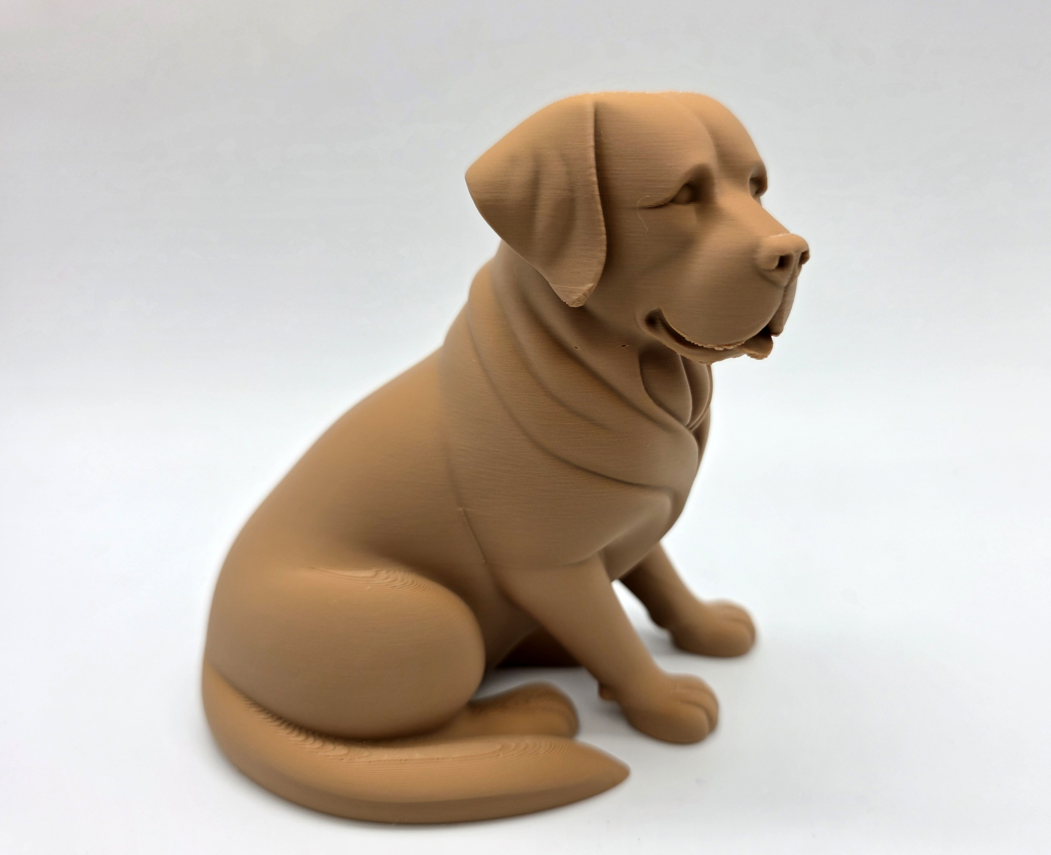 Seated Labrador Retriever Puppy — miniatura 3
