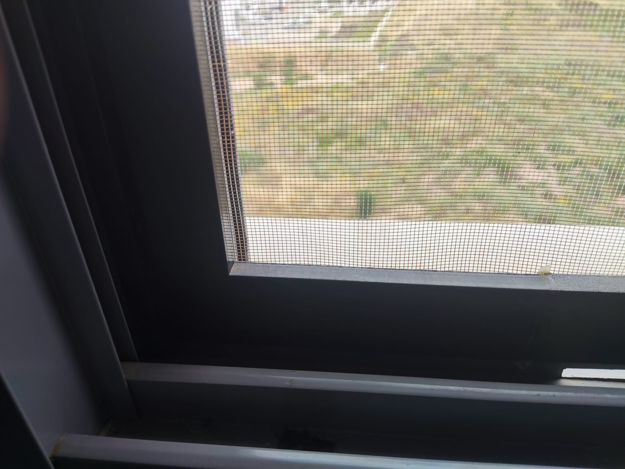 Anti mosquito window