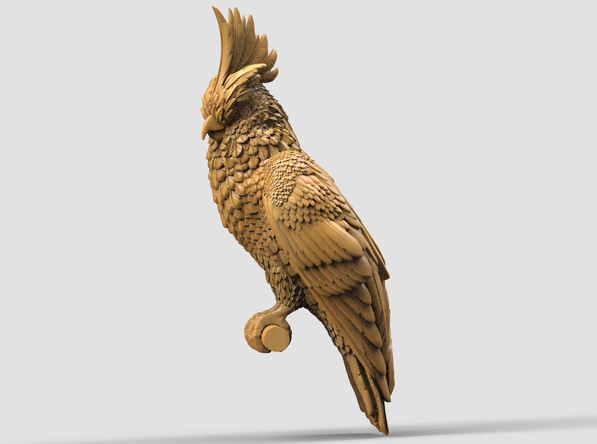 parrot