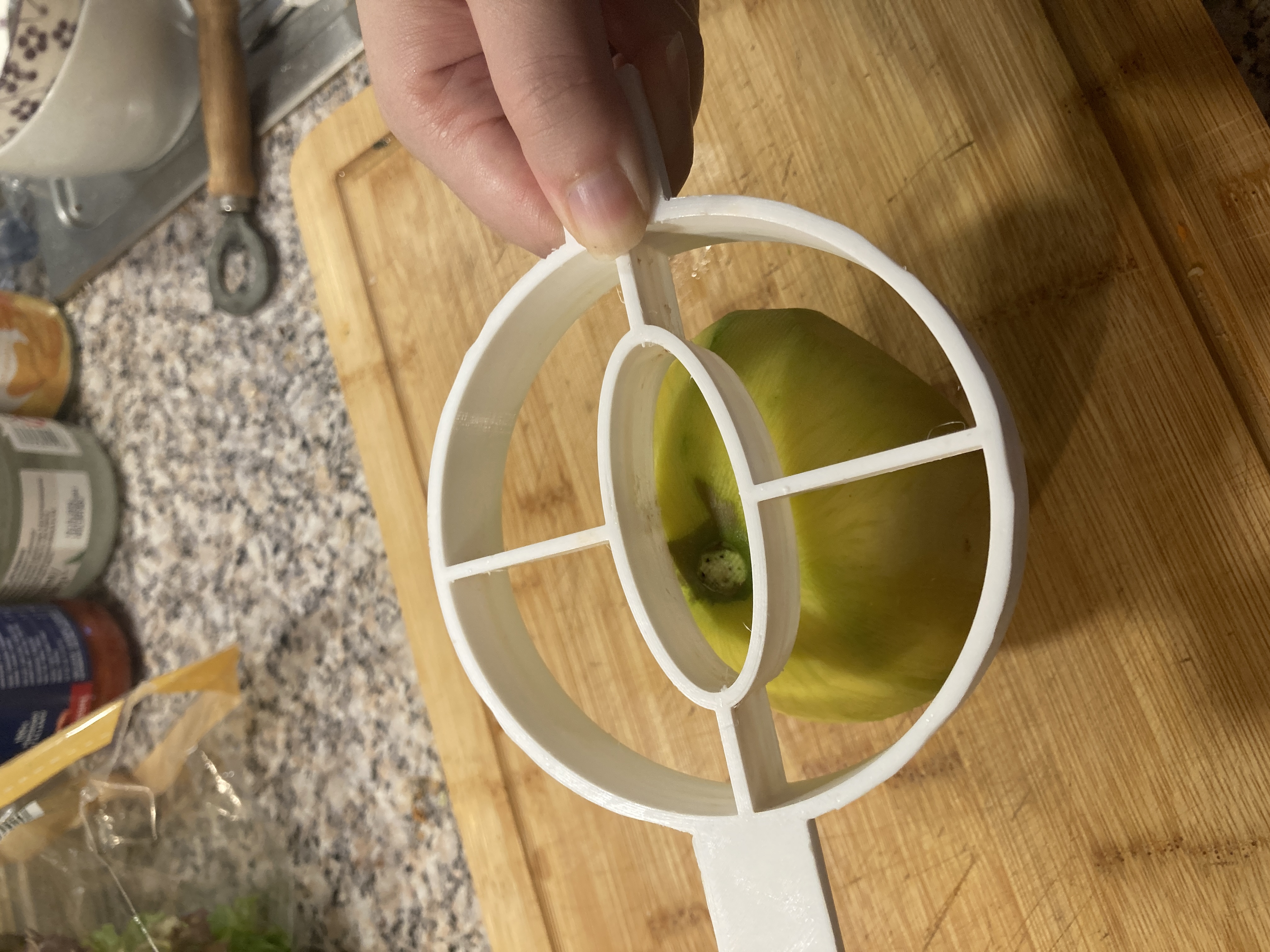 Mango Slicer