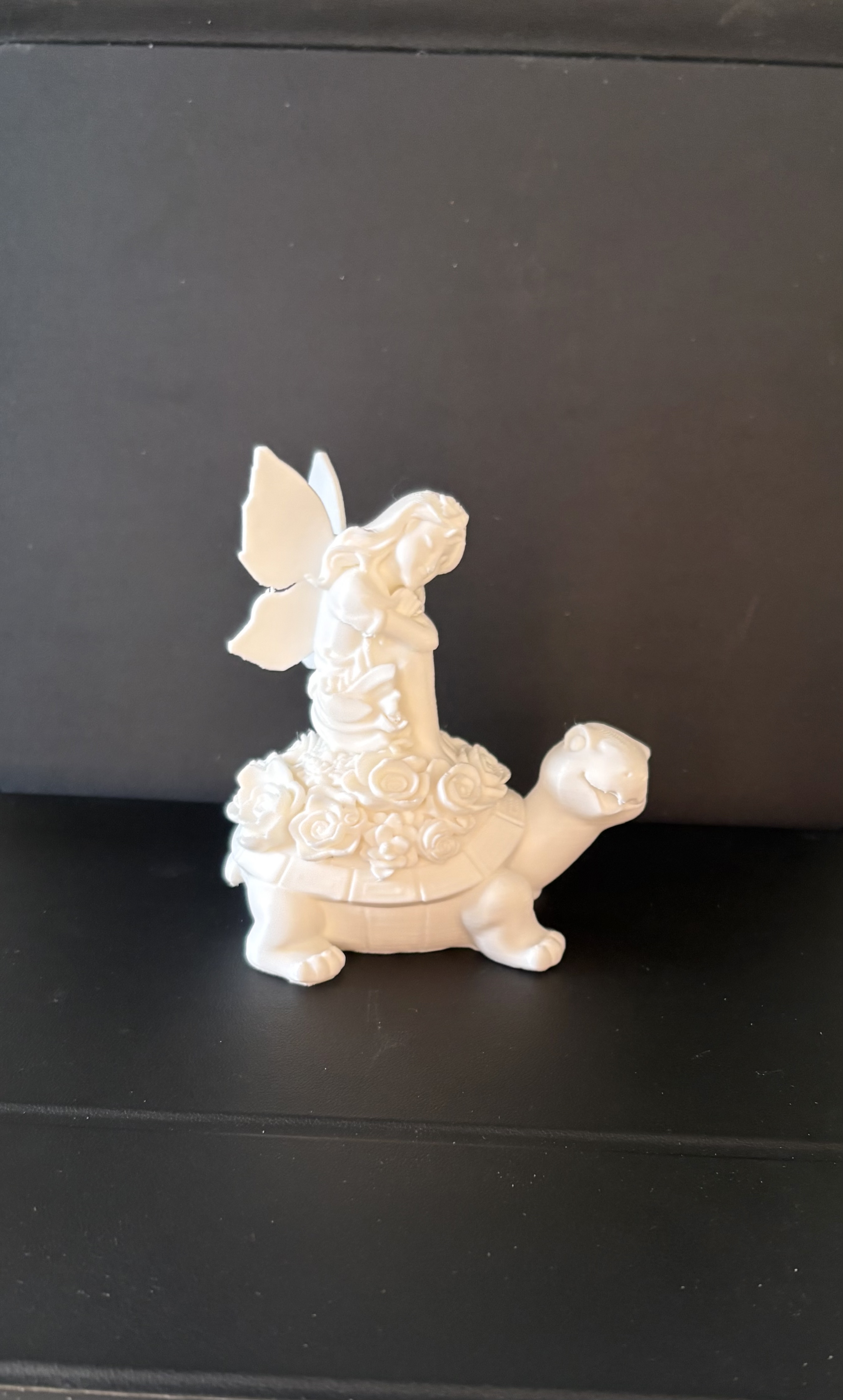 Fairy Tortoise — miniatura 3