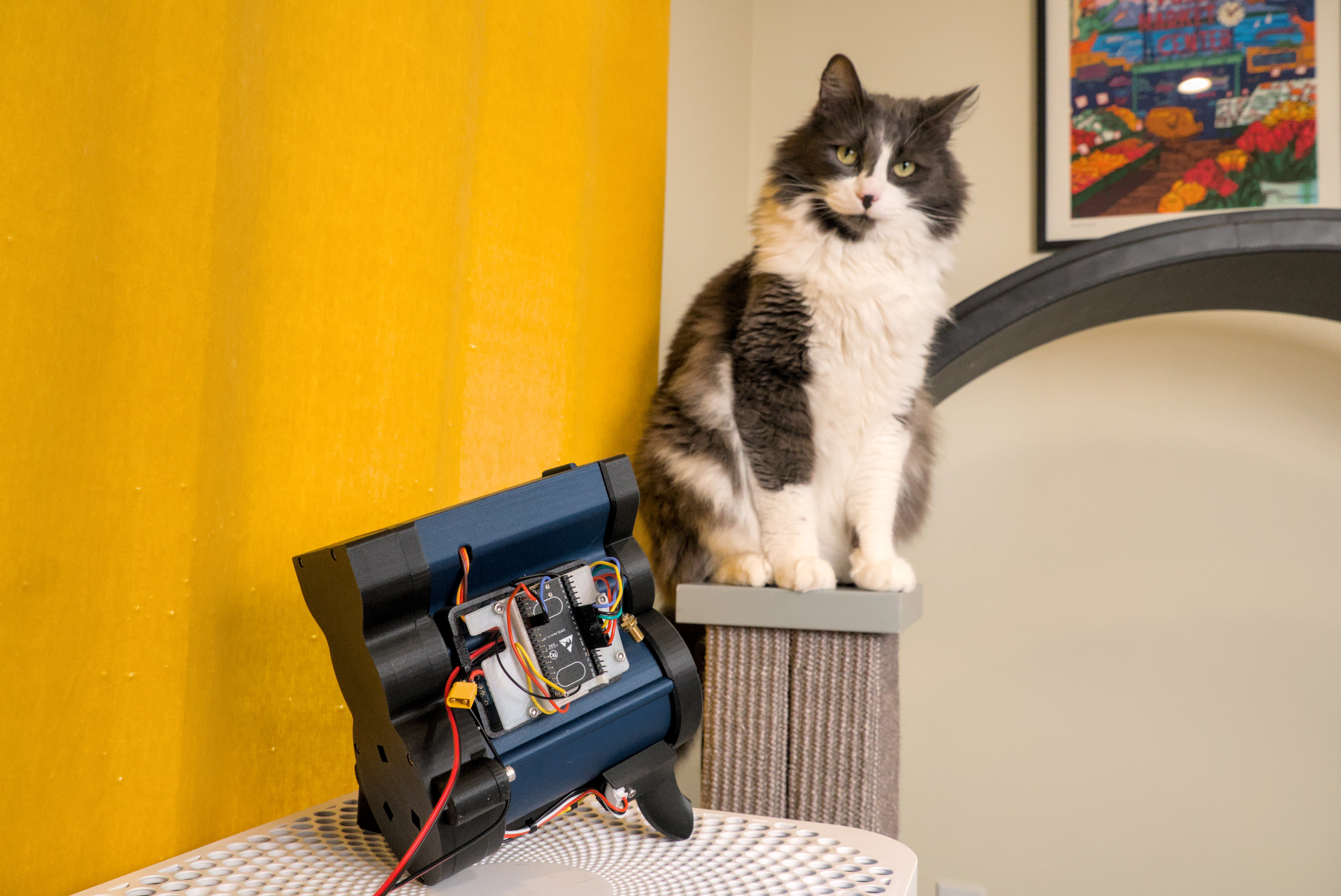 Smart cat treat dispenser for "one fast cat" wheel