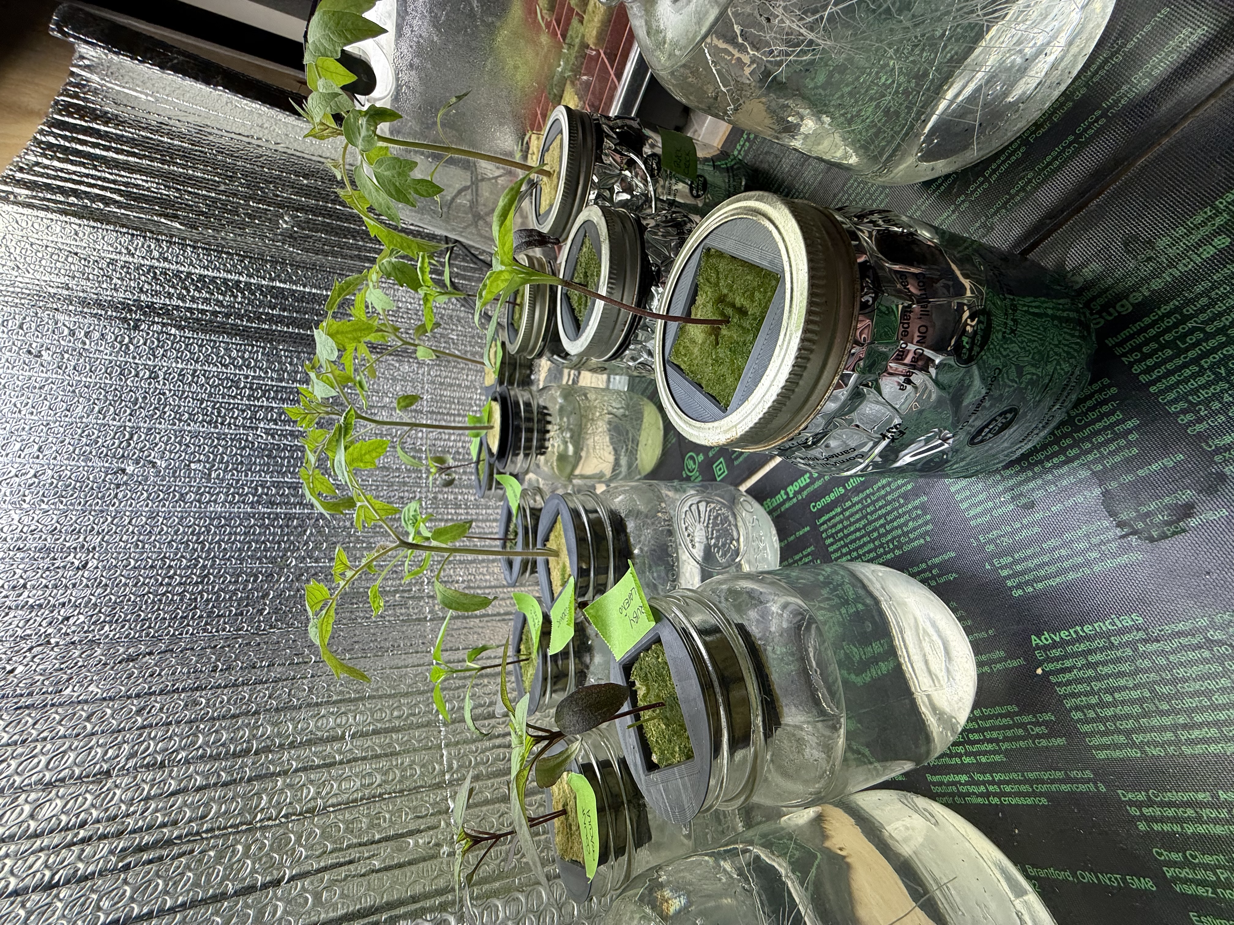Mason Jar Kratky Hydroponic Lid