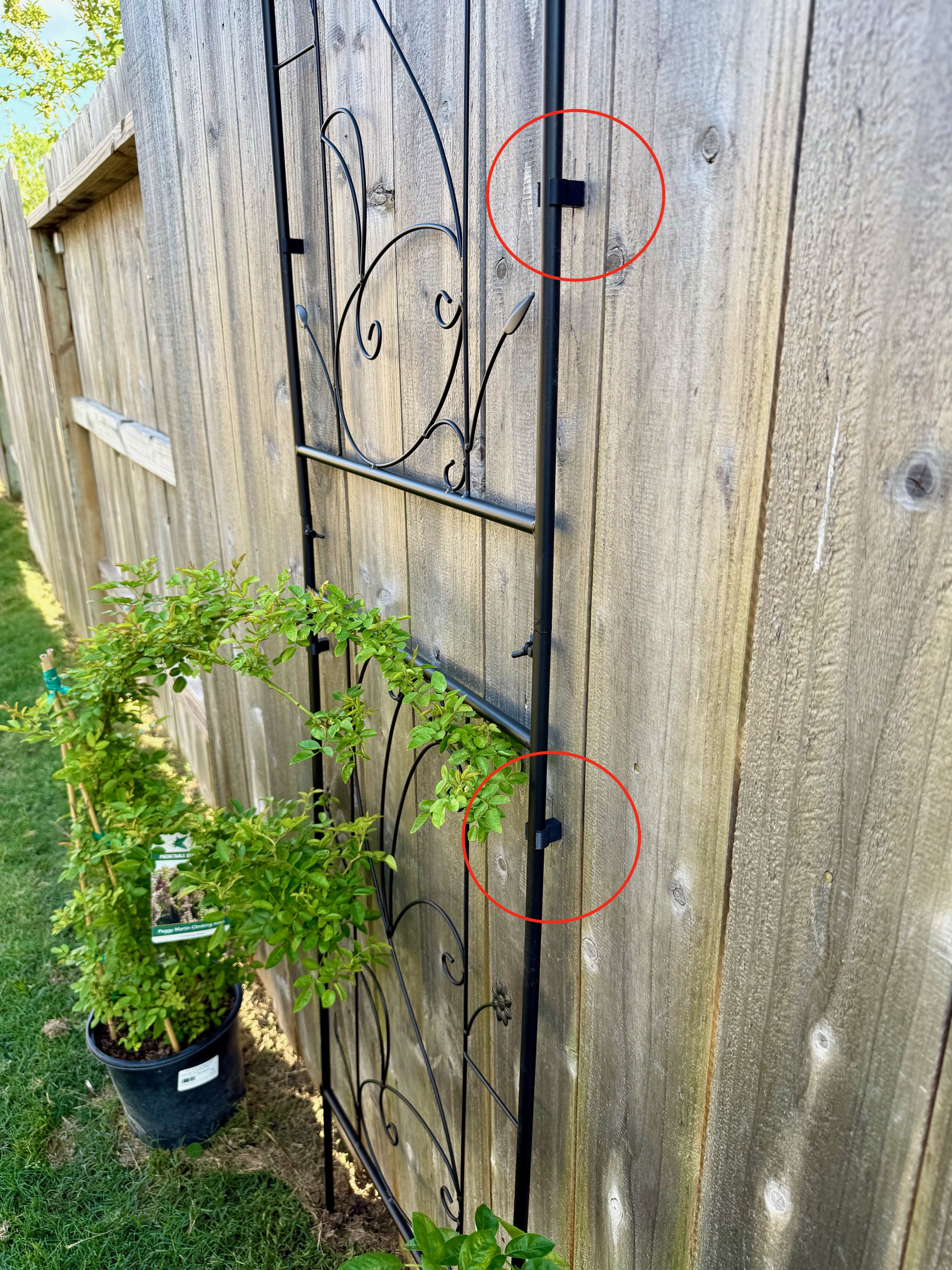 Wall mount for 13mm diameter trellis
