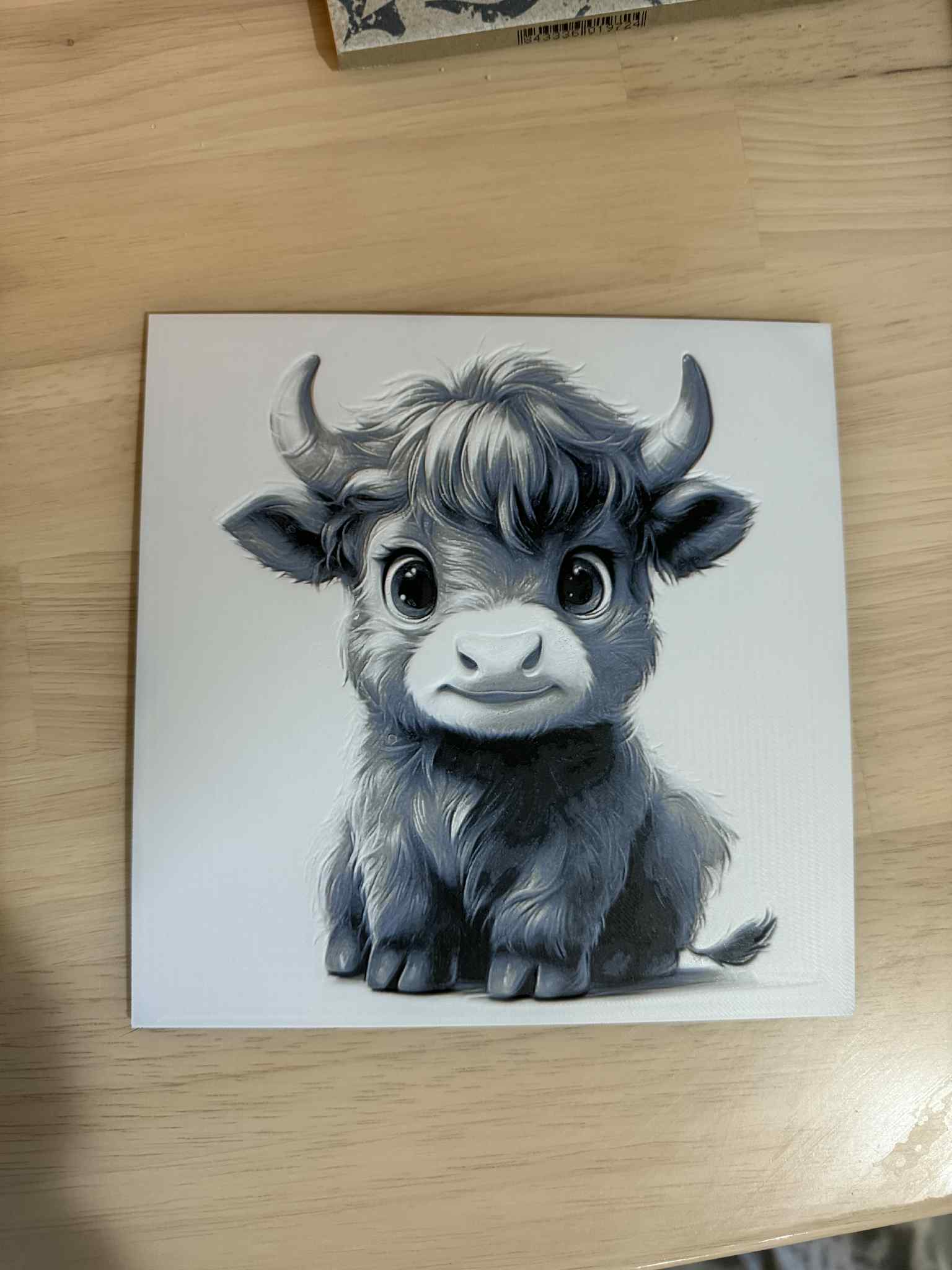 Minature Highlander Cow